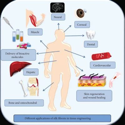  Silk fibroin: Revolutionäre Anwendungsmöglichkeiten in der Gewebewiederherstellung und im medizinischen Bereich!