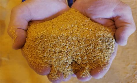  Dried Distillers Grains: Revolutionieren Sie Ihre Futterrationen mit diesem Kraftpaket?