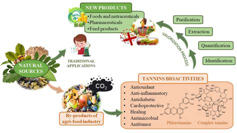 Tannin-reiches Material: Ein Überblick über seine vielseitigen Anwendungen in der Lederindustrie und im Lebensmittelsektor!